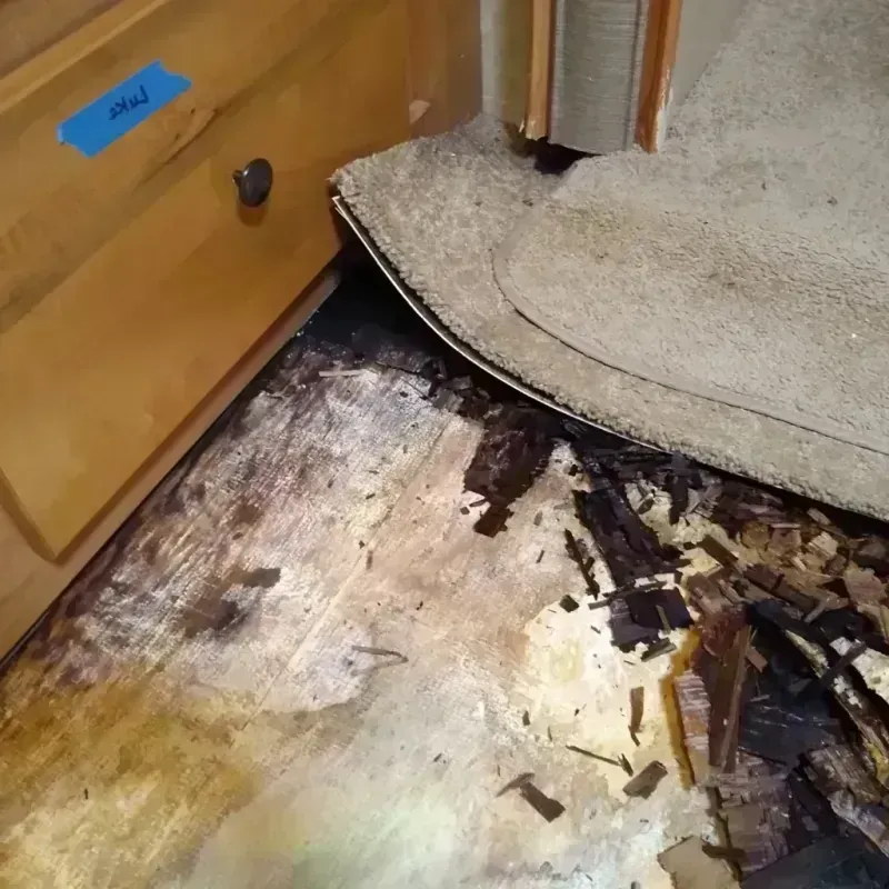 Wood Floor Water Damage in Gilchrist County, FL